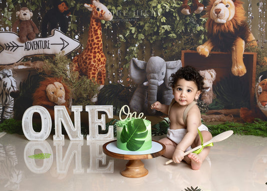 Book today a special Cake Smash photography photo shoot with Claire Hill Photography based in Wolverhampton West Midlands near Birmingham, Shropshire, Staffordshire & Telford
